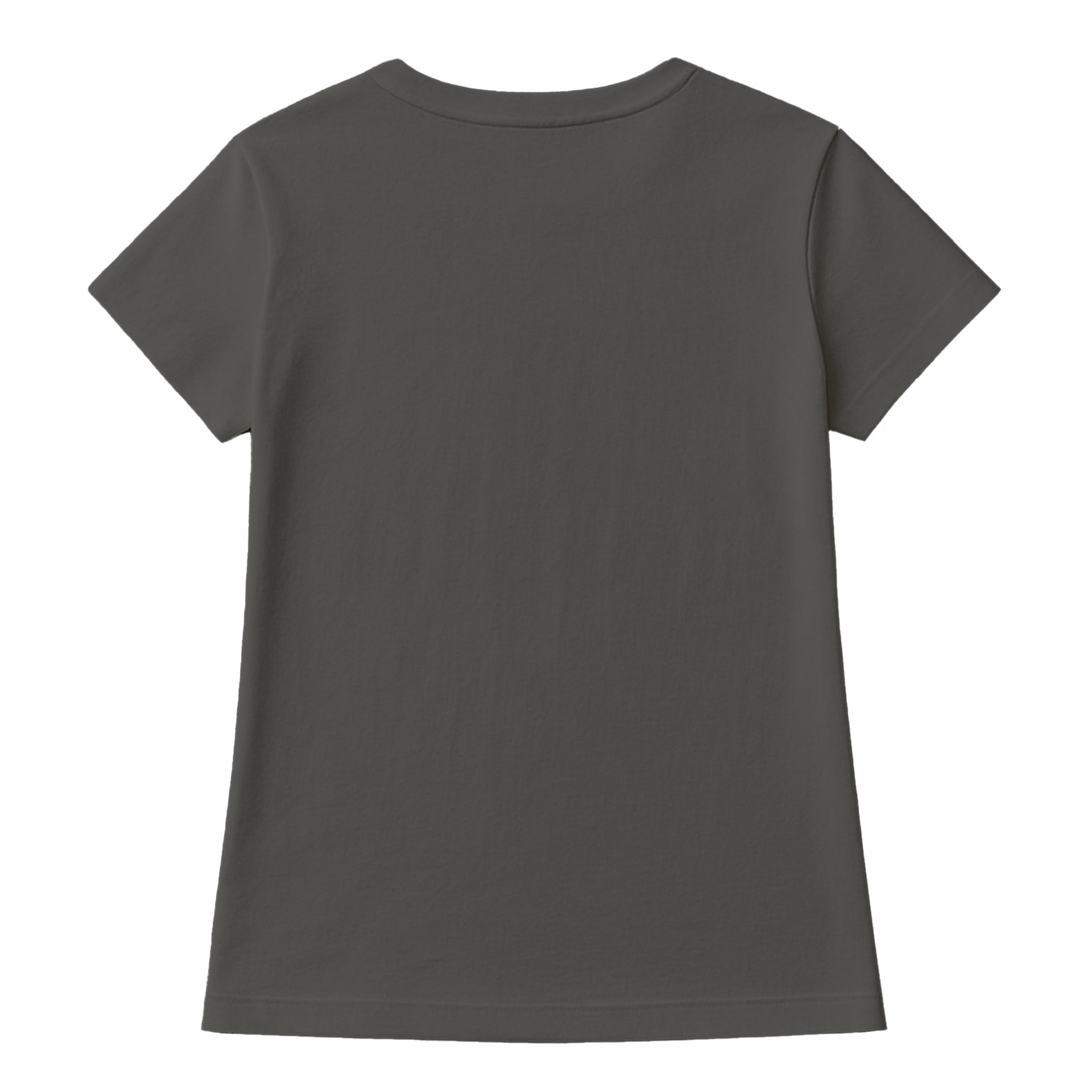 Salt Life Salty State 2 Women's T-Shirt Charcoal