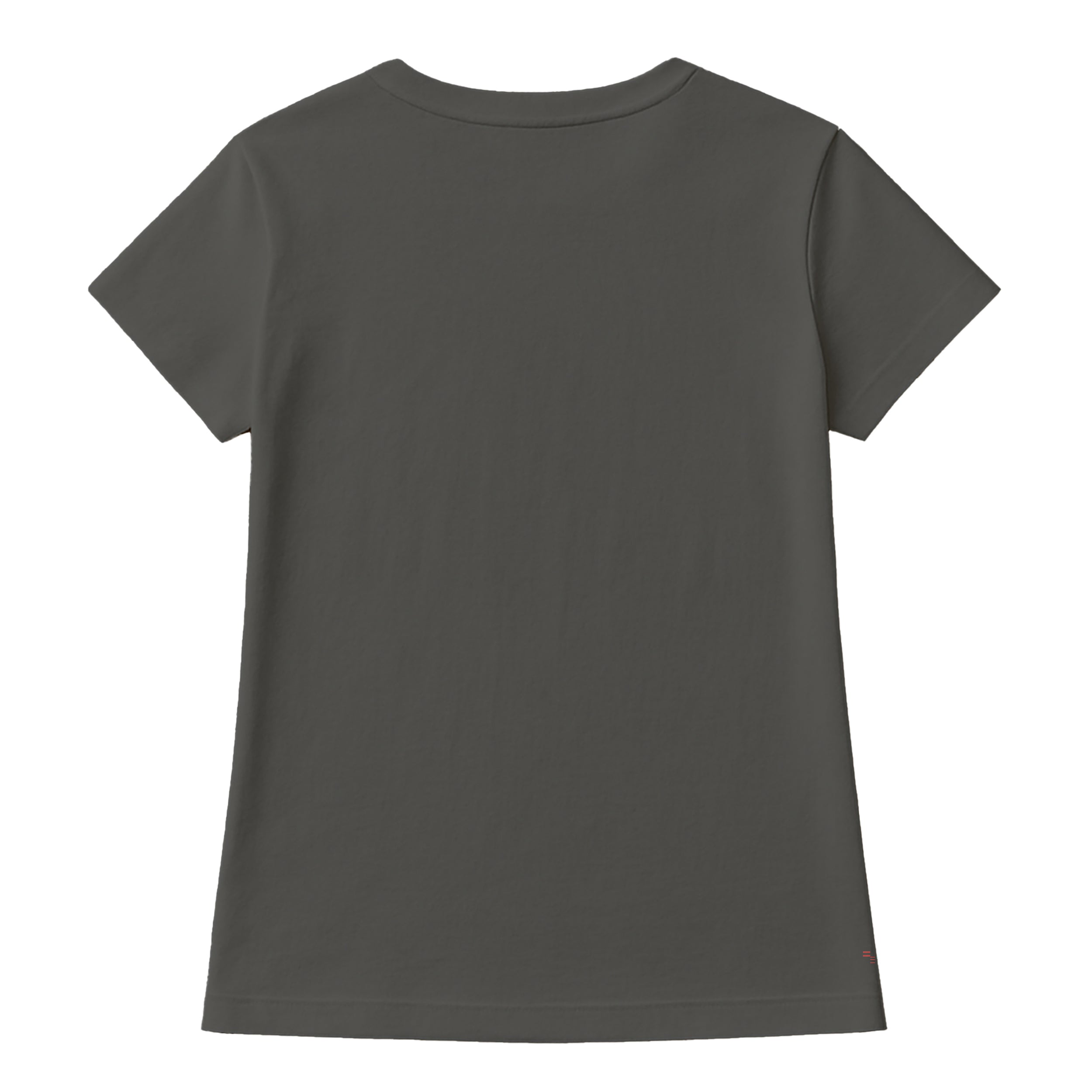 Salt Life Neon Turtle Women's T-Shirt Light Graphite
